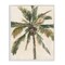 Stupell Industries Palm Tree on Beige Framed Giclee Wall Art Design by Ethan Harper